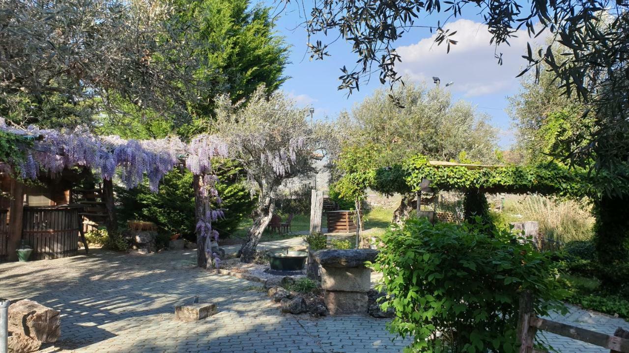 Casa Do Redondo Bed & Breakfast Rabaçal Dış mekan fotoğraf